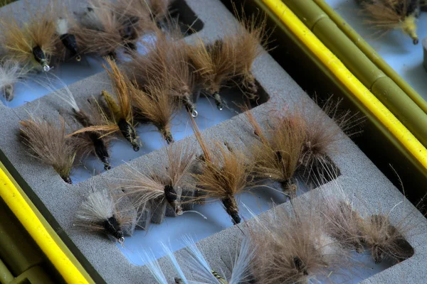 Trout Fishing Fly Storage Box — Stockfoto