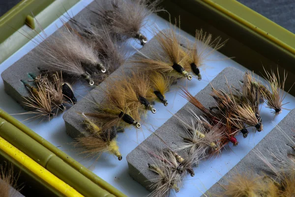 Trout Fishing Fly Storage Box — 스톡 사진