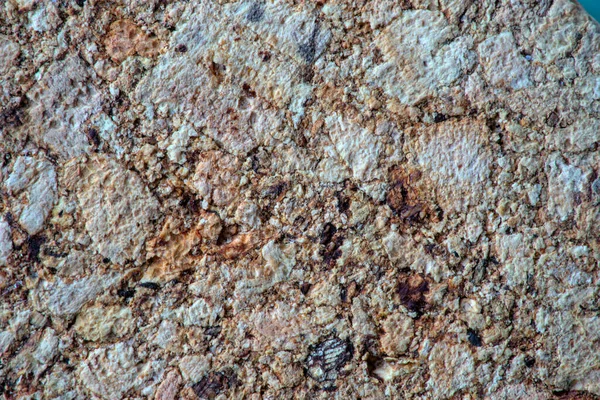 Texture Detail Beige Cork Material Close — Stock Photo, Image