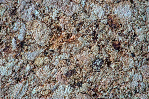 Textur Detail Beiges Korkmaterial Nahaufnahme — Stockfoto