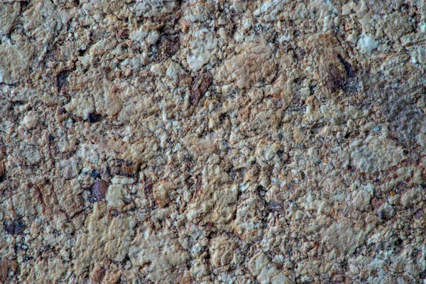 Texture Détail Matériau Liège Beige Gros Plan — Photo