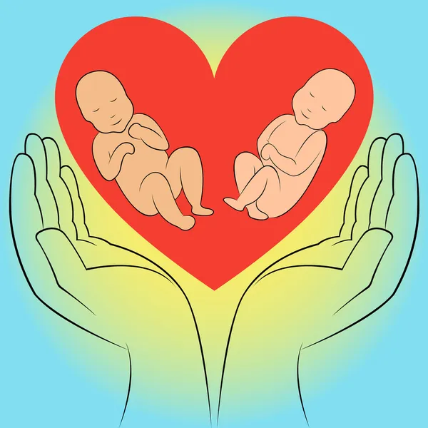 Two unborn babies in human hands — Stock Vector