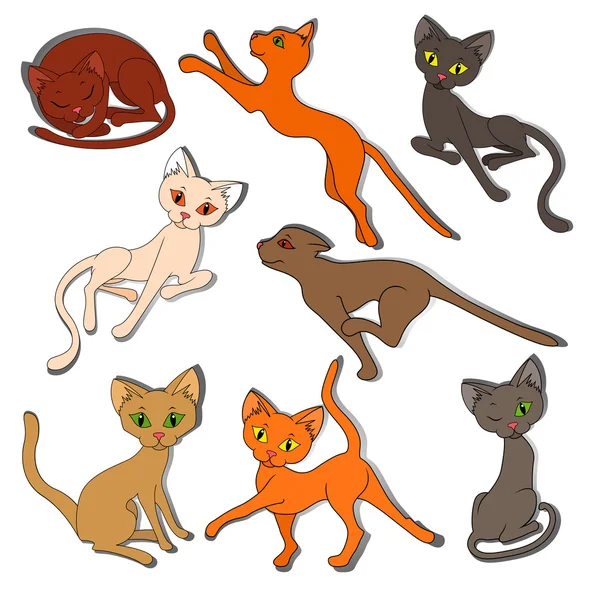 Eight colorful funny cats on a white background — Stock Vector