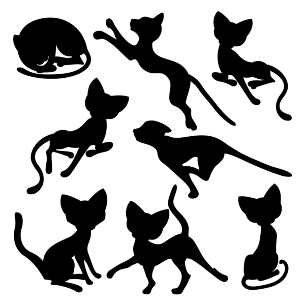 Eight silhouettes of funny cats — Stock Vector