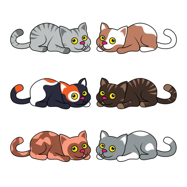 Šest Legrační Různé Kreslené Kočky Izolované Bílém Pozadí Barevný Obraz — Stockový vektor