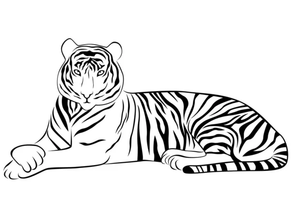 Contorno Tigre Acostado Pose Agraciada Vector Negro Aislado Sobre Fondo — Vector de stock