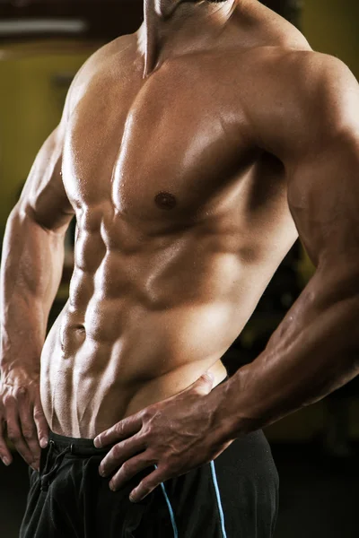 Muscular male torso — Stock Photo, Image