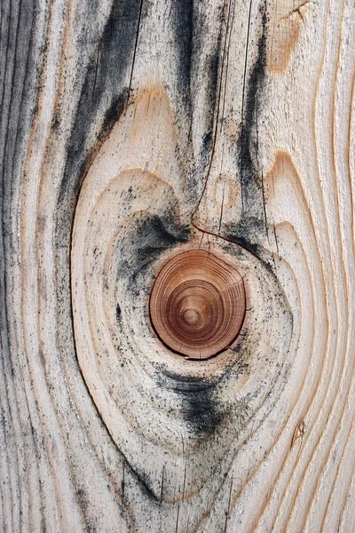 Hermosa textura de madera nudosa — Foto de Stock