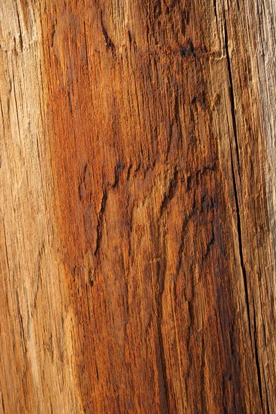 Trä textur i varma orange färg — Stockfoto