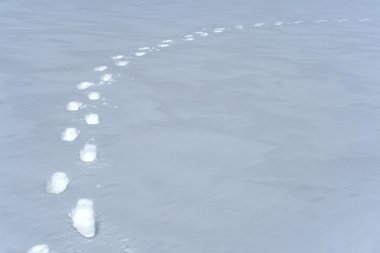 Karda Ayak İzleri Yolu