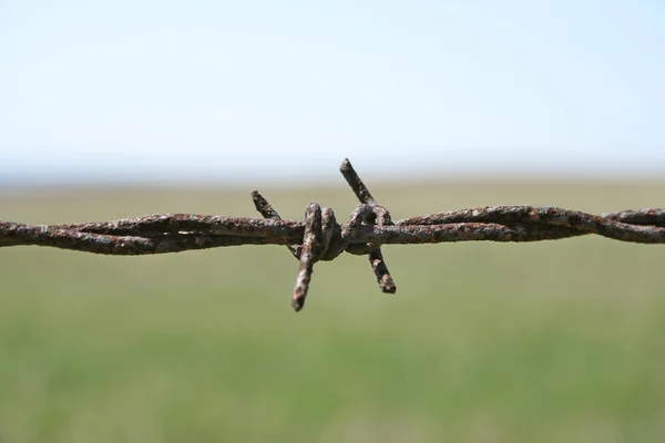 Rusty barbed wire macro — Stock Photo, Image