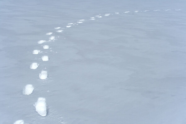 Footprints path in the snow