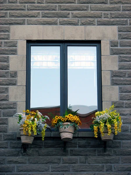 Okno z kwitnących żółte kwiaty — Zdjęcie stockowe
