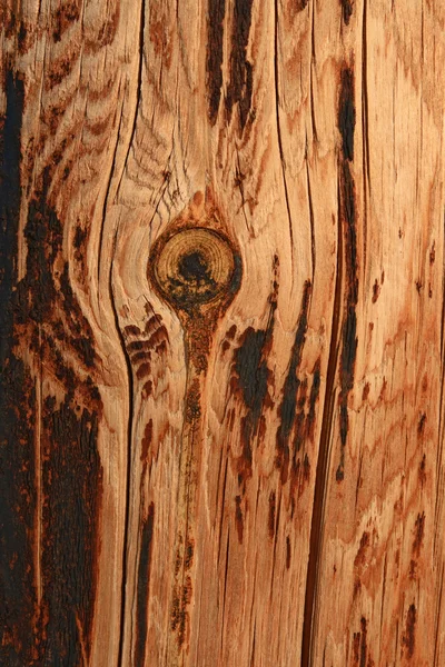 Burnt knotty fundo de madeira — Fotografia de Stock