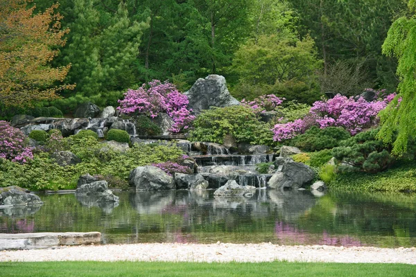 Floração jardim japonês — Fotografia de Stock