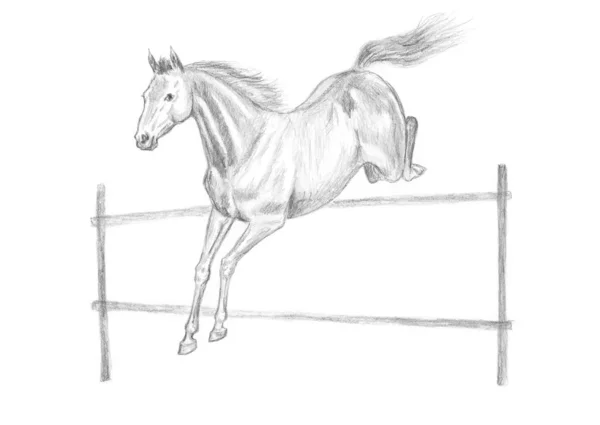 Springen paard tekening — Stockfoto