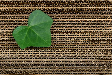 Green leaf on cardboard background clipart