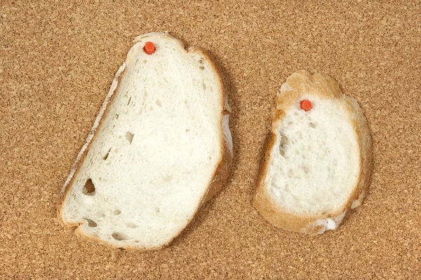 Два шматки хліба прикріплені до дошки — стокове фото