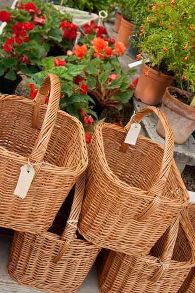 Baskets with blank labels in a flower shop — Stock Photo, Image
