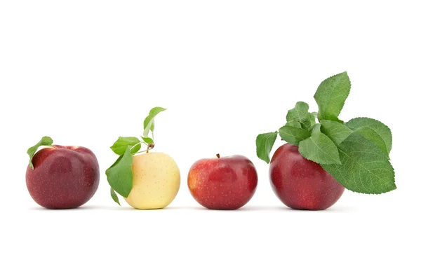 Rad av äpplen med blad på vit bakgrund — Stockfoto
