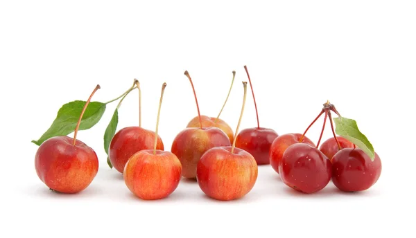 Manzanas de cereza chinas sobre fondo blanco — Foto de Stock