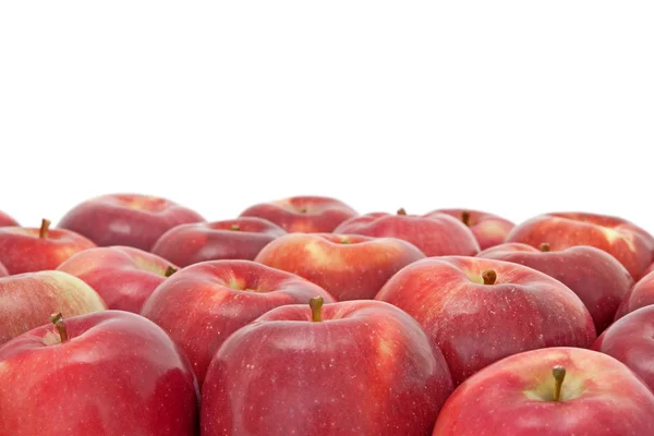 Muchas manzanas rojas sobre fondo blanco —  Fotos de Stock