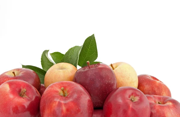 Varietà di mele rosse e gialle con foglie — Foto Stock