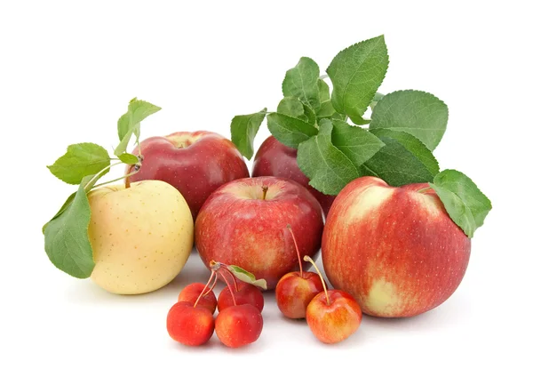 Variedade de maçãs no fundo branco — Fotografia de Stock