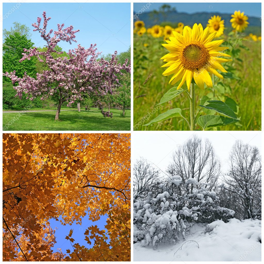 Printemps Ete Automne Hiver Images Libres De Droit Photos De Printemps Ete Automne Hiver Depositphotos Printemps Ete Automne Hiver Images Libres De Droit Photos De Printemps Ete Automne Hiver Depositphotos