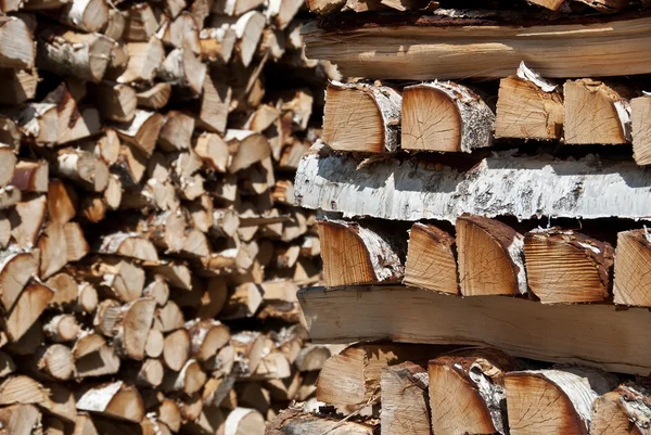 Pali di legno di betulla tritato — Foto Stock