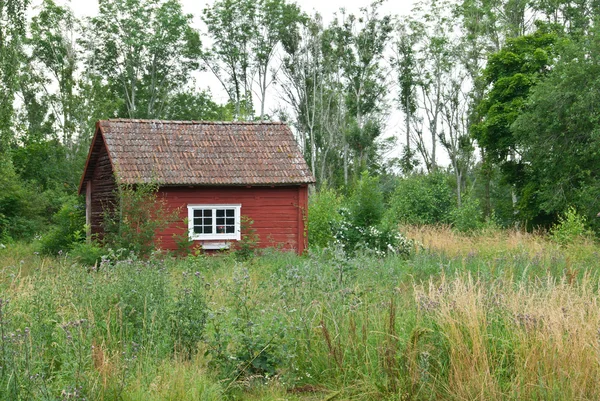 Traditional Swedish red house in summer landscape — Stock Photo, Image