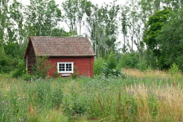 Traditionelles schwedisches rotes Haus in Sommerlandschaft — Stockfoto