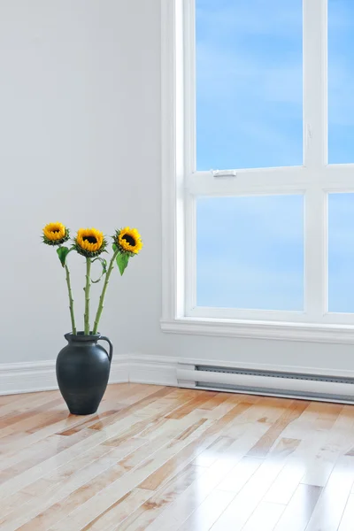 Sunflowers in empty room with big window Stock Image