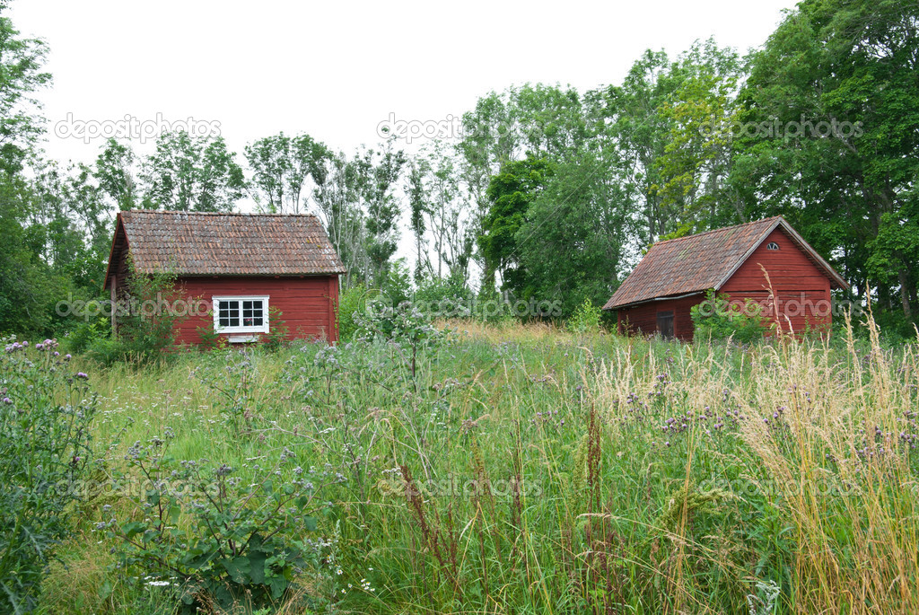 Scandinavian summer, traditional old red houses