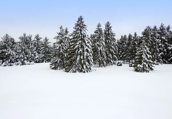 Kanadská zima — Stock fotografie