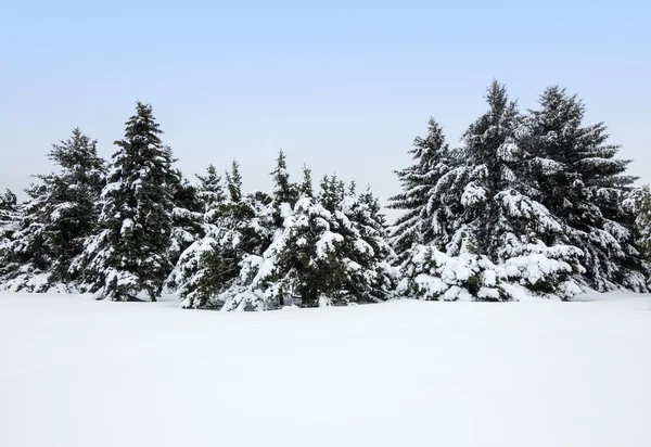 Paysage hivernal après la tempête de neige — Photo