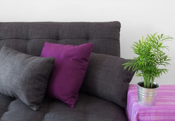 Sofa nyaman dengan bantal dan tanaman hijau — Stok Foto