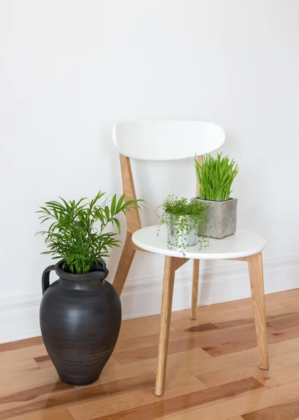 Κομψό καρέκλα με πράσινα φυτά — Φωτογραφία Αρχείου