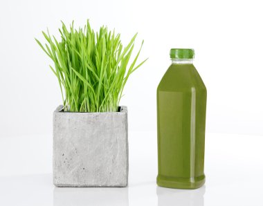 Wheatgrass and bottle of green juice clipart