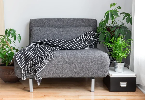 Silla de tela gris y plantas en el salón — Foto de Stock