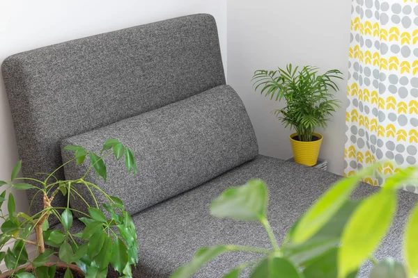 Chaise longue en planten in de woonkamer — Stockfoto