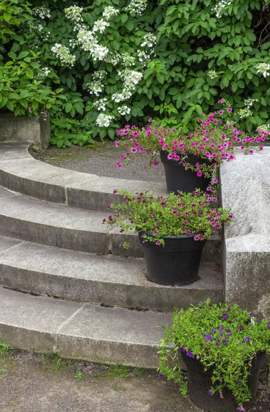 Vasi di fiori decorazione gradini di pietra in un giardino — Foto Stock