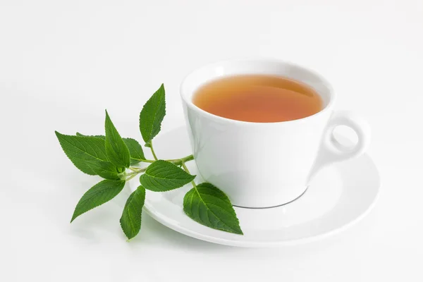 Чашка чая со свежей мятой — стоковое фото
