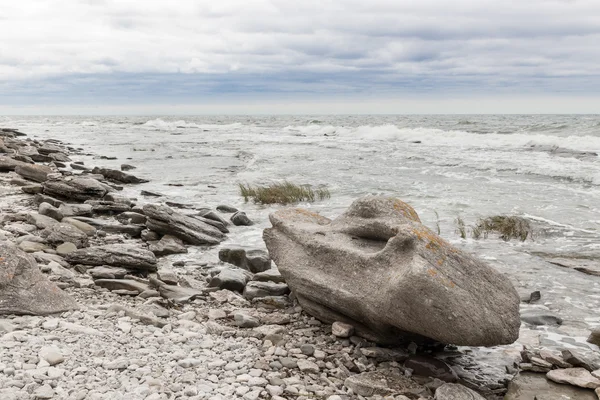 瑞典哥特兰，海岸线岩石 — 图库照片
