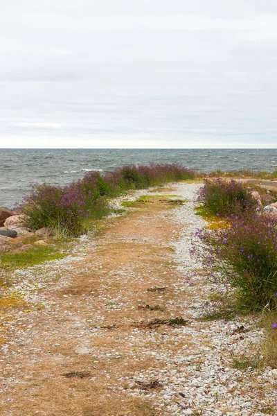 Road leading to the sea — Stock Photo, Image