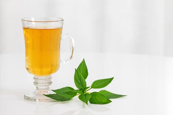 Чай и свежая мята — стоковое фото