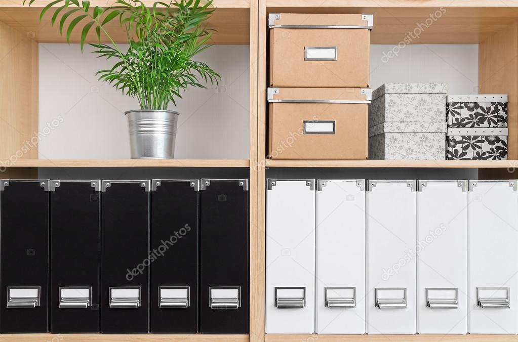 Shelves with boxes, folders and green plant