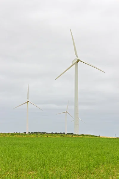 Wind turbines in a green field — Stock Photo, Image