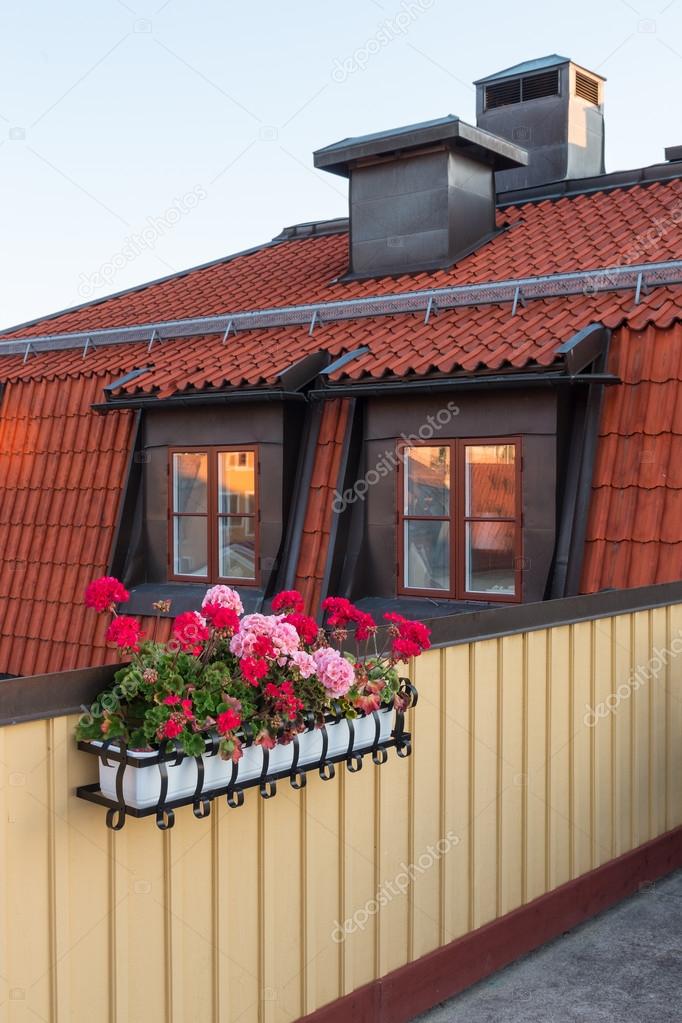 Roof terrace decorated with geraniums