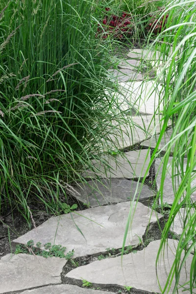 Caminho de pedra no jardim de verão — Fotografia de Stock